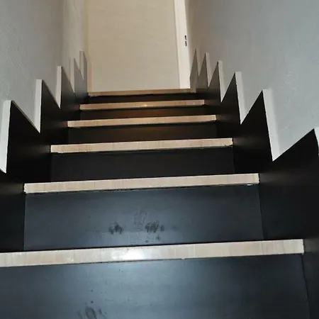 Casanetina