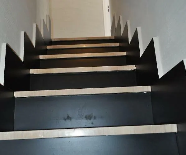 Casanetina